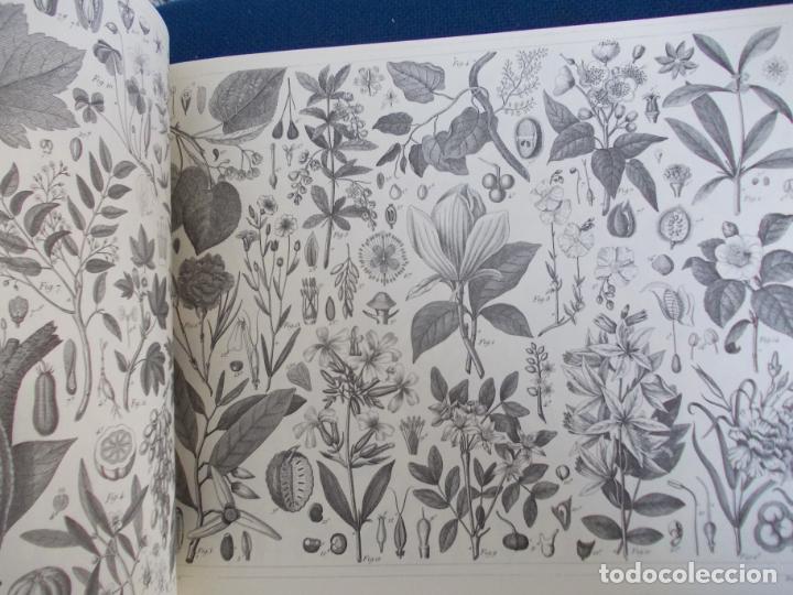 Libros de segunda mano: The Complete Encyclopedia of illustration Paul bacon - Foto 3