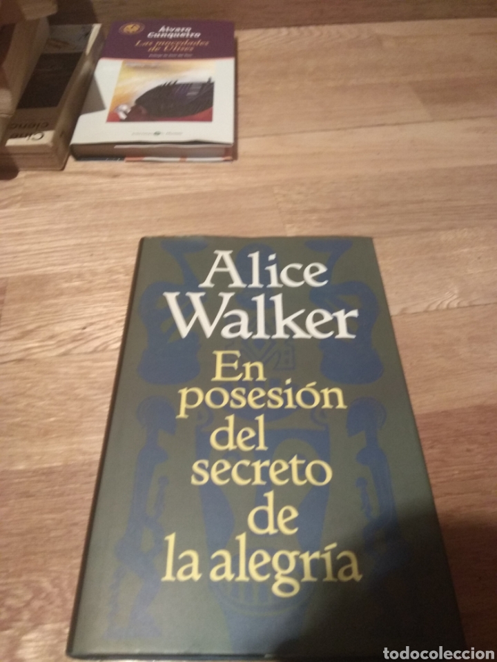 Libros de segunda mano: Alice Walker en posesi&oacute;n del secreto de la alegr&iacute;a - Foto 1