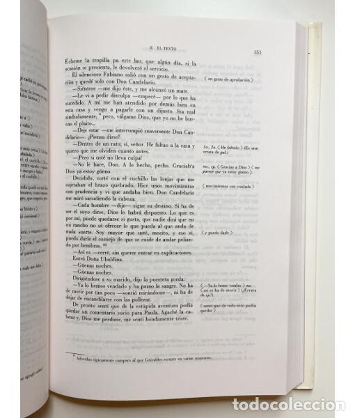 Libros de segunda mano: DON SEGUNDO SOMBRA. G&Uuml;IRALDES, Ricardo. CSIC. 1991. - Foto 3