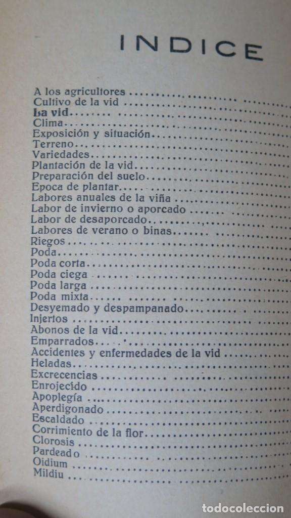 Libros de segunda mano: LA VID, EL VINO Y LOS VINAGRES. ANTONIO BAEZA - Foto 2