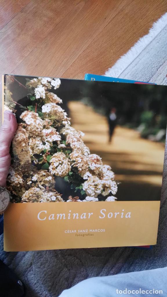 Libros de segunda mano: libro caminar soria - Foto 1
