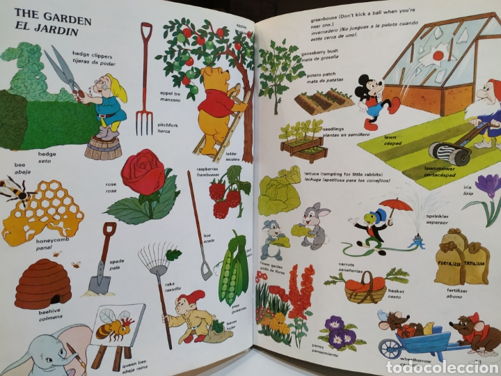 Libros de segunda mano: Mi primer diccionario de ingl&eacute;s. Walt Disney - Foto 2