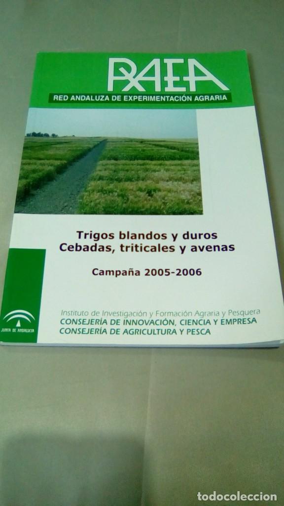 Libri di seconda mano: TRIGOS BLANDO Y DUROS, CEBADAS, TRITICALES Y AVENAS. CAMPA&Ntilde;A 2005-2006