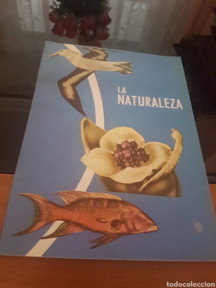 Libros de segunda mano: La naturaleza - vicens vives - Foto 1