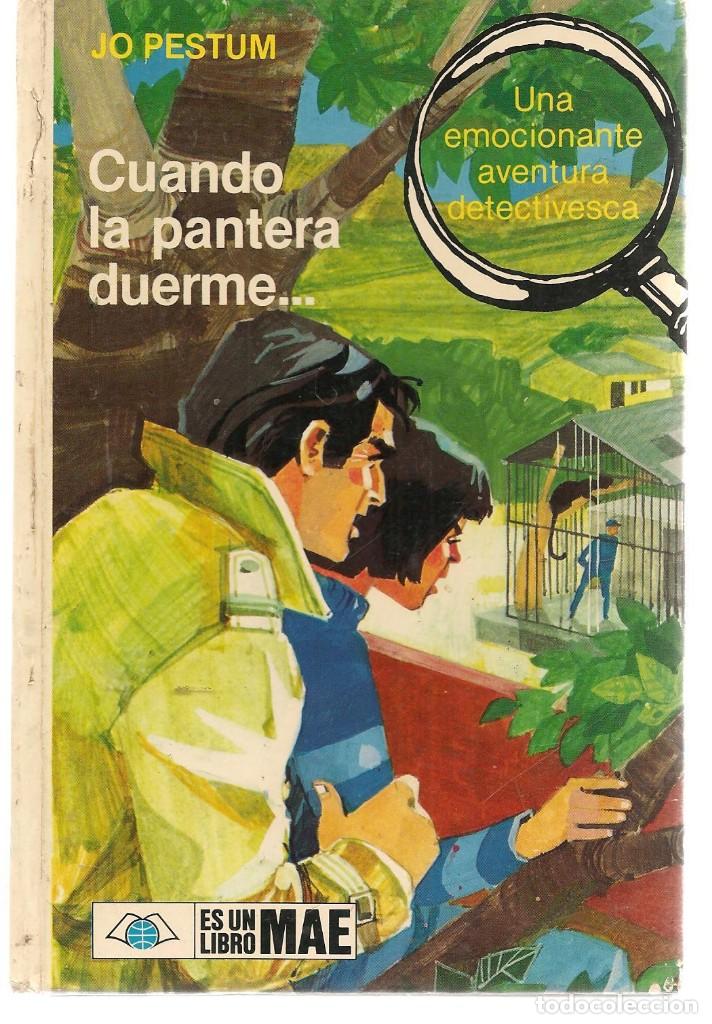Libros de segunda mano: CUANDO LA PANTERA DUERME.  JO PESTUM. LIBRO MAE. (Z/7) - Foto 1