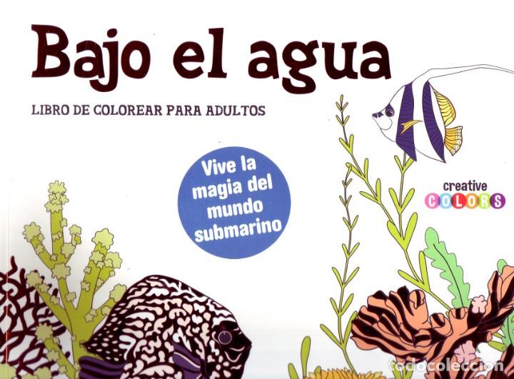 Libros de segunda mano: BAJO EL AGUA. VV.AA. DIyPI-038 - Foto 1