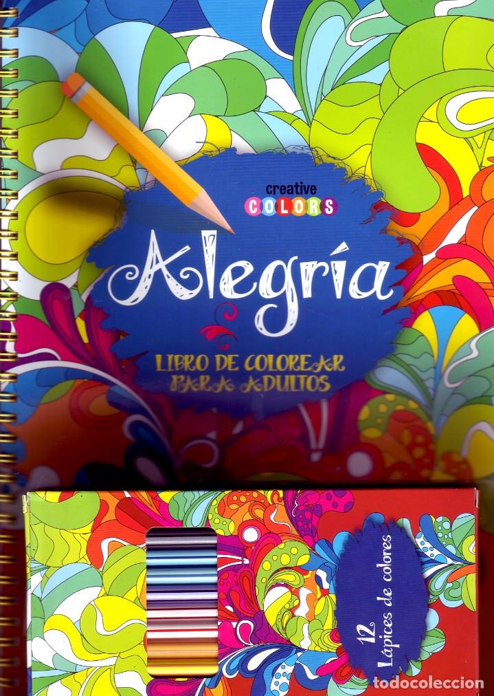 Libros de segunda mano: ALEGR&Iacute;A. VV.AA. DIyPI-051 - Foto 1