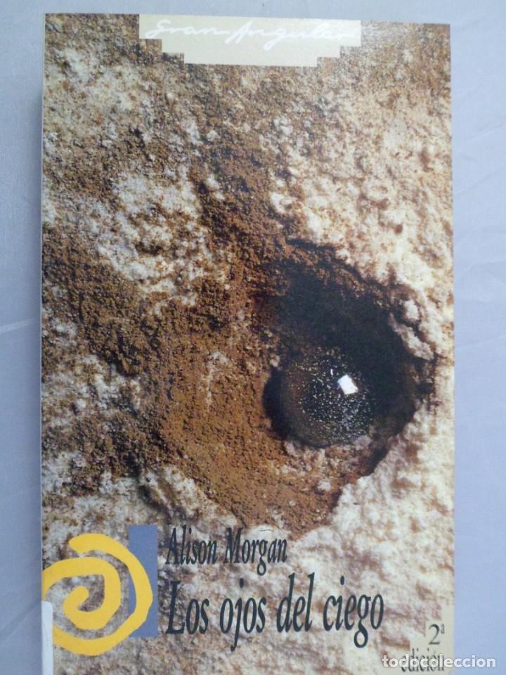 Libros de segunda mano: COLECCI&Oacute;N GRAN ANGULAR N&ordm; 89 LOS OJOS DEL CIEGO ALISON MORGAN - Foto 1