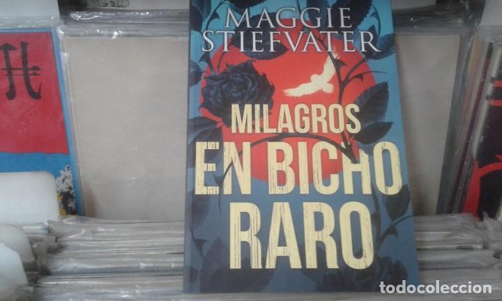 Libros de segunda mano: MILAGROS EN BICHO RARO   MAGGIE STIEFVATER , 2018 - Foto 1