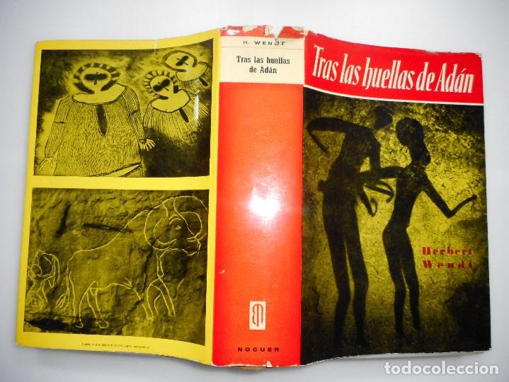 Libros de segunda mano: HARBERT WENDT  Tras las huellas de Ad&aacute;n   Y91048 - Foto 1