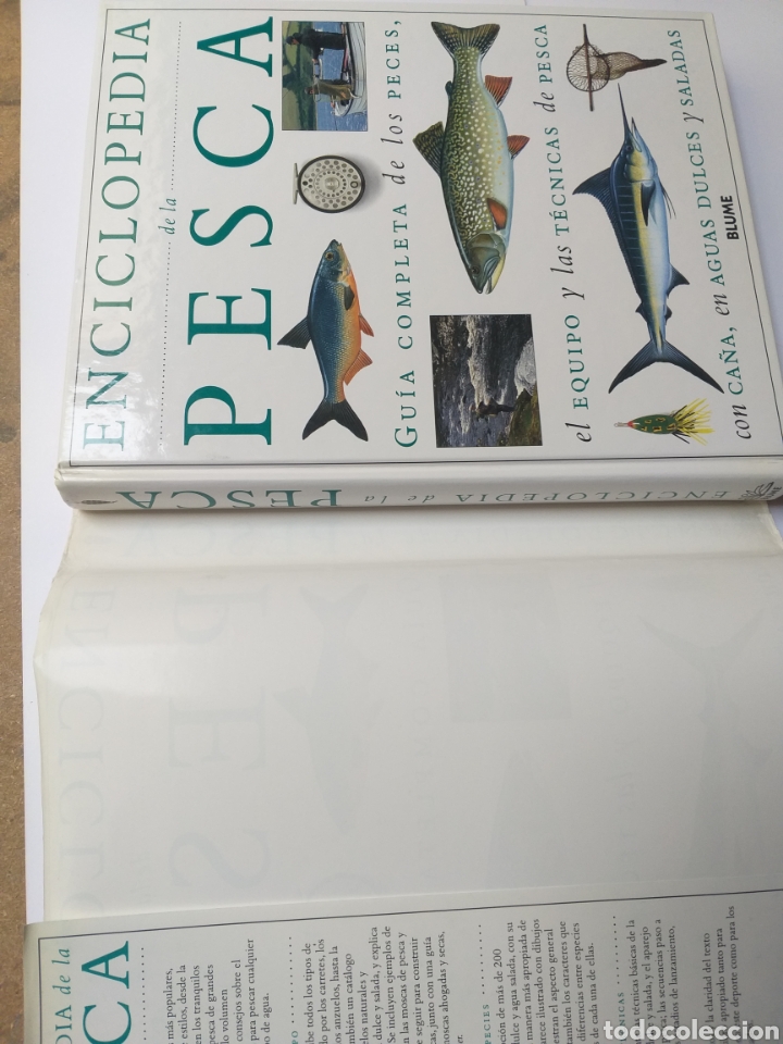 Libros de segunda mano: Enciclopedia de la pesca gu&iacute;a completa Blume 1995 - Foto 5
