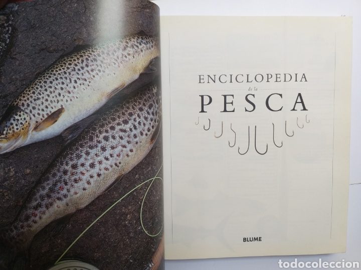 Libros de segunda mano: Enciclopedia de la pesca gu&iacute;a completa Blume 1995 - Foto 7