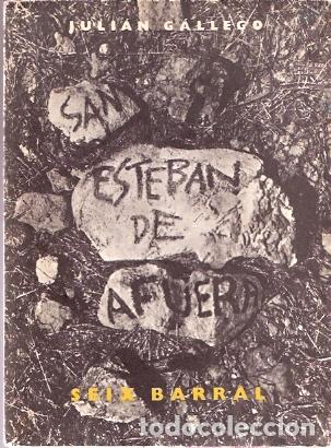 Libros de segunda mano: San Esteban de afuera - G&aacute;llego, Juli&aacute;n - Foto 1