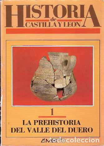 Libros de segunda mano: Historia de Castilla y Le&oacute;n - VV. AA. - Foto 1