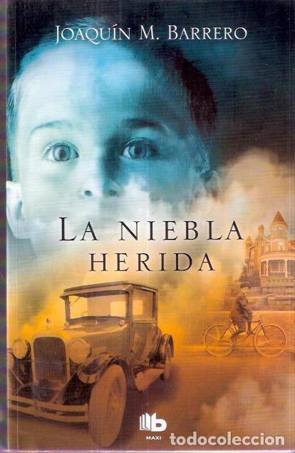 Libros de segunda mano: La niebla herida - Barrero, Joaqu&iacute;n M. - Foto 1
