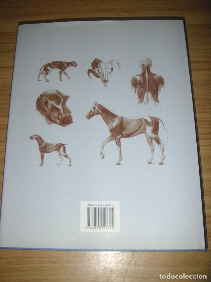 escuela de dibujo de anatomía, humana · animal - Comprar ...