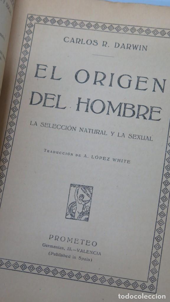 Libros de segunda mano: EL ORIGEN DEL HOMBRE. DARWIN. ED. PROMETEO - Foto 2