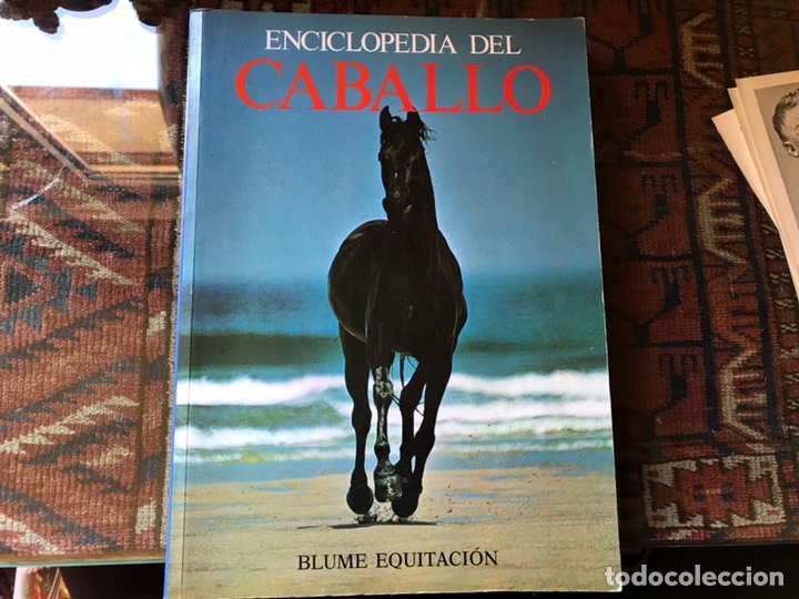 Libros de segunda mano: Enciclopedia del caballo. Blume equitaci&oacute;n. Como nuevo - Foto 1