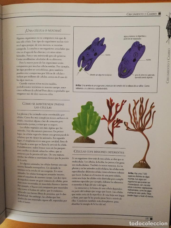 Libros de segunda mano: EL LIBRO DE LA CIENCIA. EL MUNDO FUNCIONA (LIBSA) - Foto 8