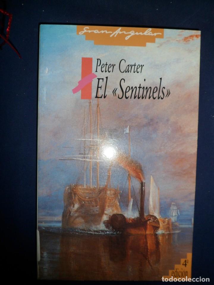 Libros de segunda mano: COLECCI&Oacute;N GRAN ANGULAR N&ordm; 25 EL SENTINELS. PETER CARTER - Foto 1