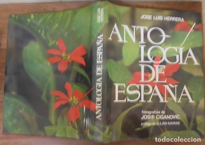 Libros de segunda mano: ANTOLOGIA DE ESPA&Ntilde;A JOSE LUIS HERRERA CIRCULO DE LECTORES 1982 - Foto 1