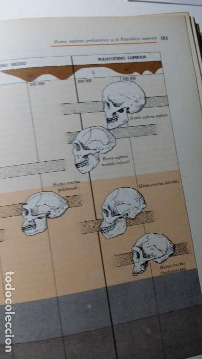 Libros de segunda mano: ANTROPOLOGIA: EL ESTUDIO DEL HOMBRE (E. ADAMSON HOEBEL) - Foto 4