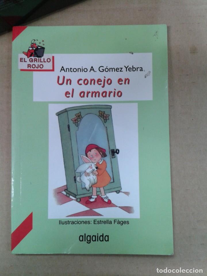 Libros de segunda mano: Un conejo en el armario. - Foto 1