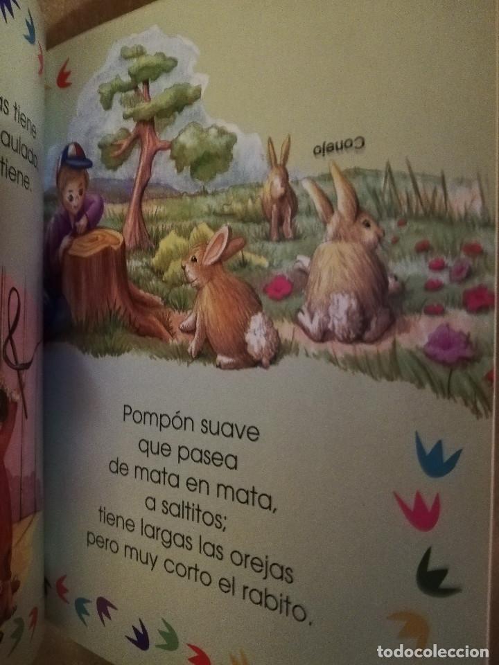 Libros de segunda mano: MIS PRIMERAS ADIVINANZAS (LIBSA) - Foto 6