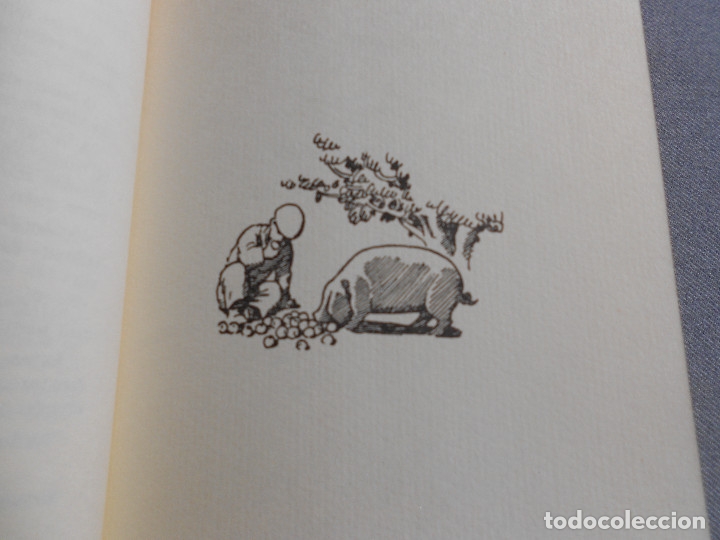 Libros de segunda mano: OS DOUS DE SEMPRE - Foto 5