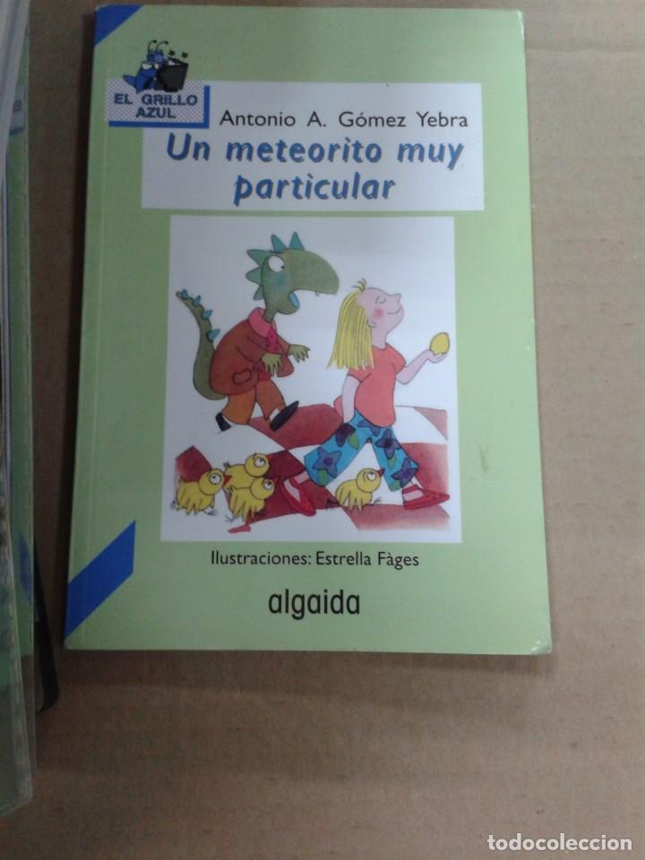 Libros de segunda mano: Un meteorito muy particular. Antonio A. G&oacute;mez Yebra - Foto 1
