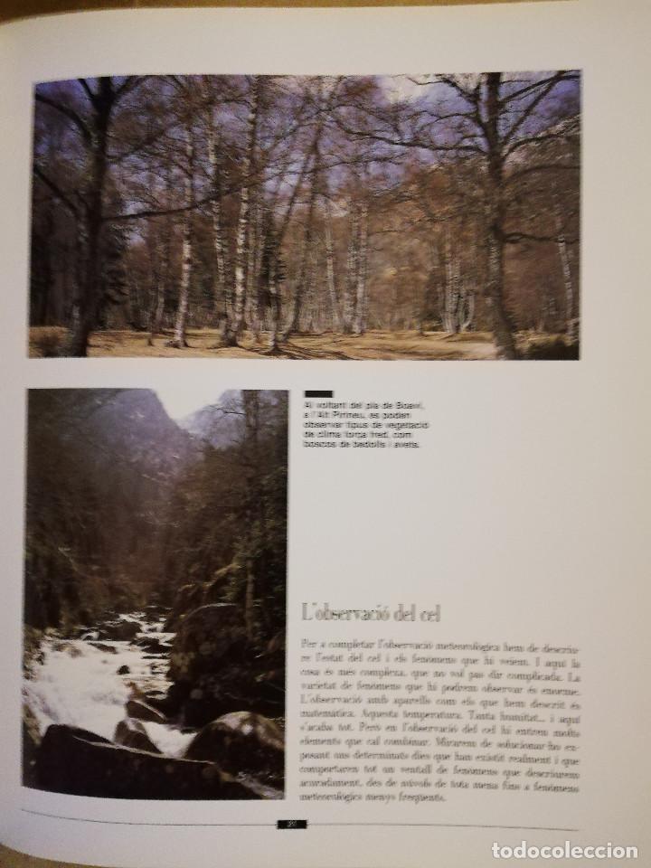 Libros de segunda mano: OBSERVANT EL TEMPS (ALFRED RODR&Iacute;GUEZ PIC&Oacute;) - Foto 12