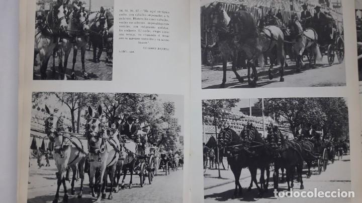 Libros de segunda mano: LAS FERIAS DE SEVILLA. (Nicol&aacute;s Salas) - Foto 5