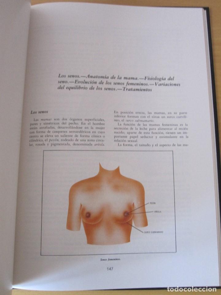 Libros de segunda mano: Estetica Universal / 4 tomos / a&ntilde;os 80 - Foto 13