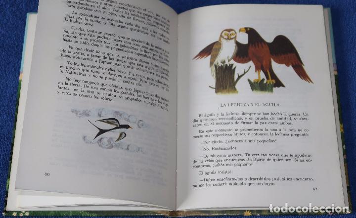 Libros de segunda mano: F&aacute;bulas - Susaeta - Foto 5