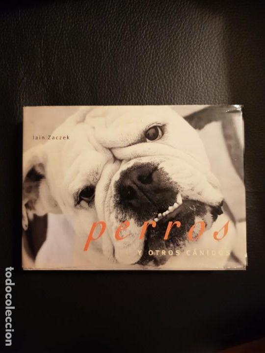 Libros de segunda mano: PERROS Y OTROS C&Aacute;NIDOS - ZACZEK, Iain - Foto 1