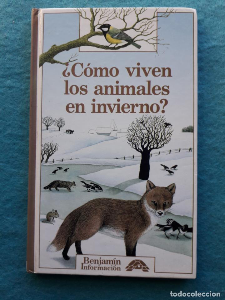 Libros de segunda mano: &iquest;C&oacute;mo viven los animales en invierno?. Catherine de Sairign&eacute;. - Foto 1
