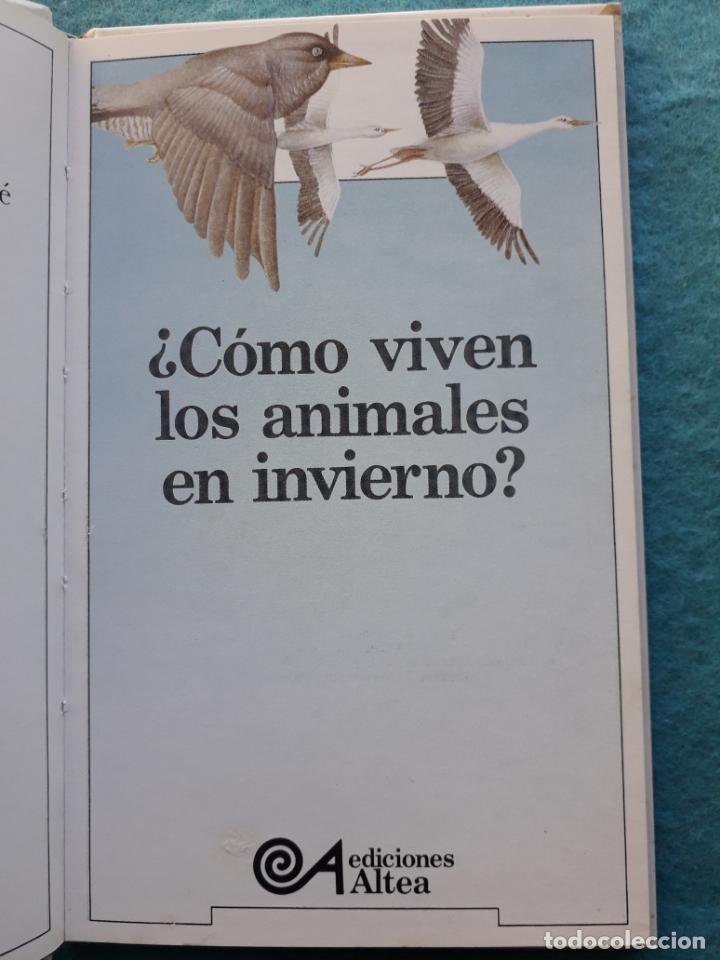 Libros de segunda mano: &iquest;C&oacute;mo viven los animales en invierno?. Catherine de Sairign&eacute;. - Foto 2