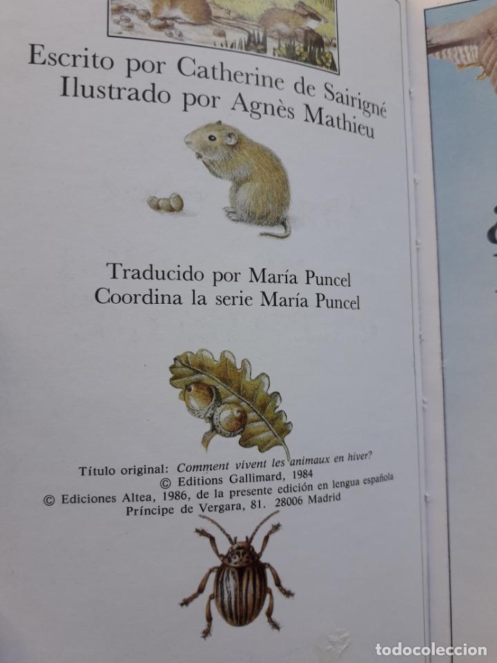 Libros de segunda mano: &iquest;C&oacute;mo viven los animales en invierno?. Catherine de Sairign&eacute;. - Foto 3