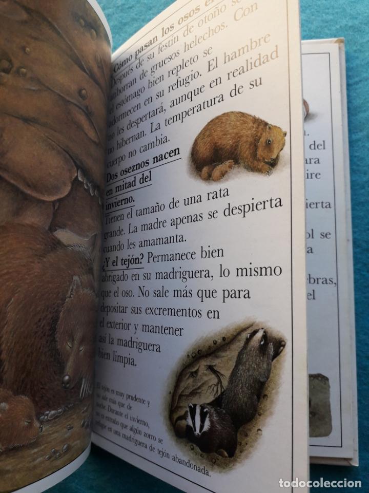 Libros de segunda mano: &iquest;C&oacute;mo viven los animales en invierno?. Catherine de Sairign&eacute;. - Foto 4