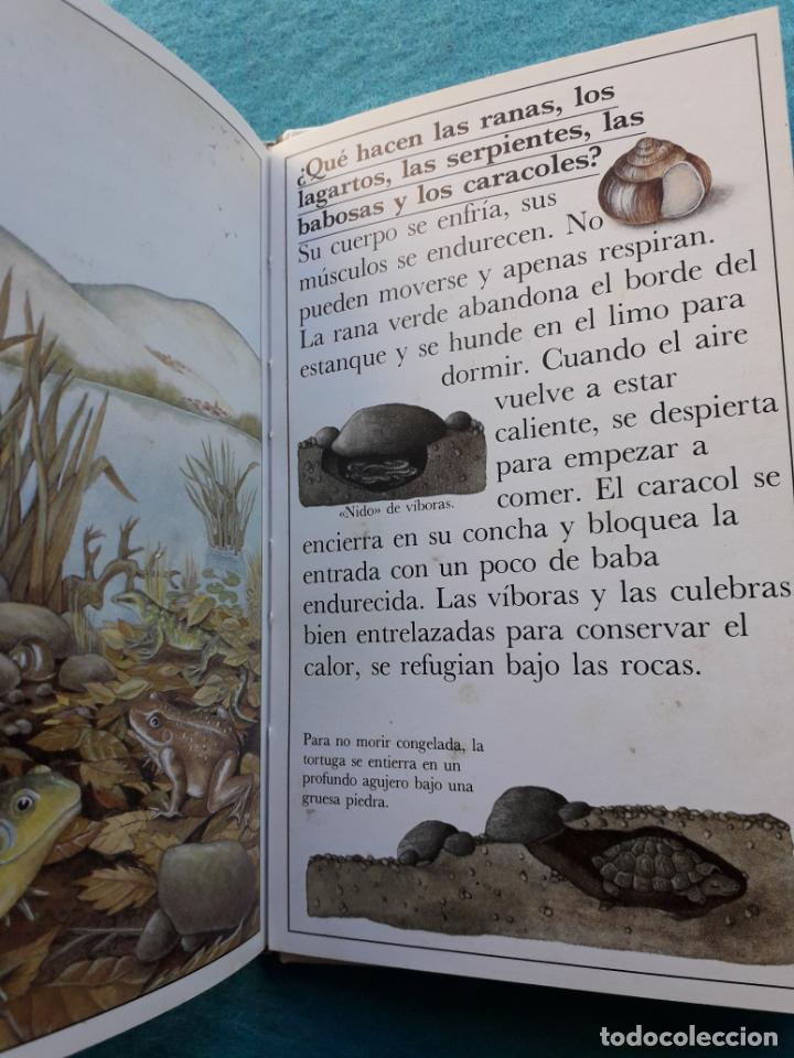 Libros de segunda mano: &iquest;C&oacute;mo viven los animales en invierno?. Catherine de Sairign&eacute;. - Foto 5