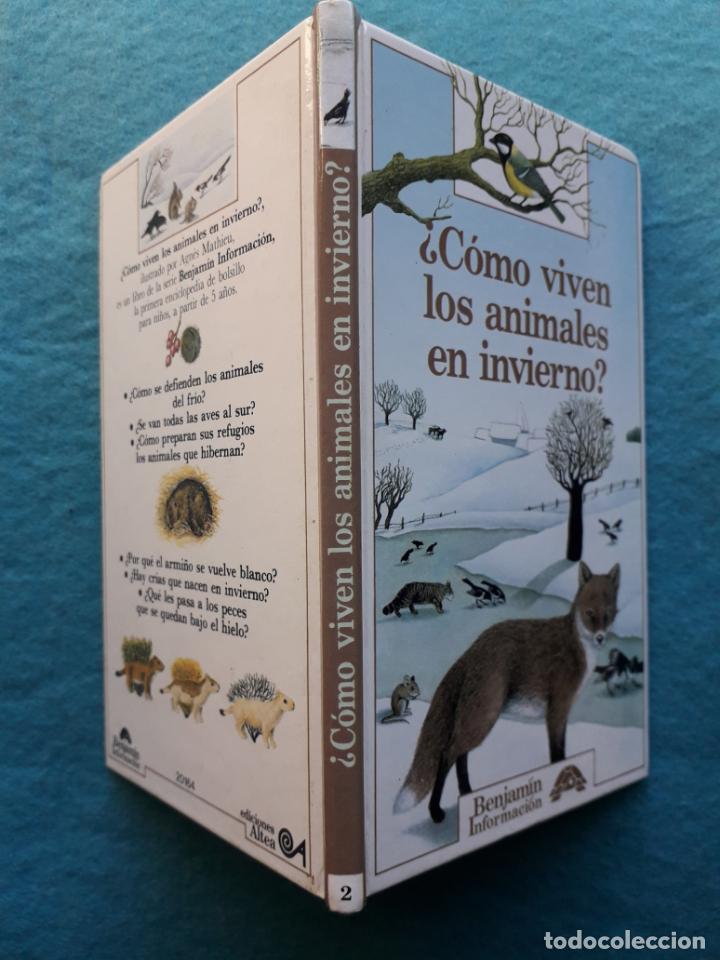 Libros de segunda mano: &iquest;C&oacute;mo viven los animales en invierno?. Catherine de Sairign&eacute;. - Foto 6