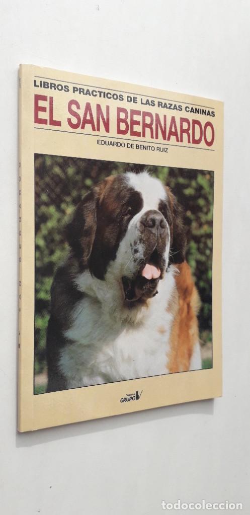 Libros de segunda mano: EL SAN BERNARDO - EDUARDO DE BENITO RUIZ - Foto 1