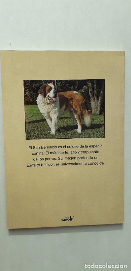 Libros de segunda mano: EL SAN BERNARDO - EDUARDO DE BENITO RUIZ - Foto 2