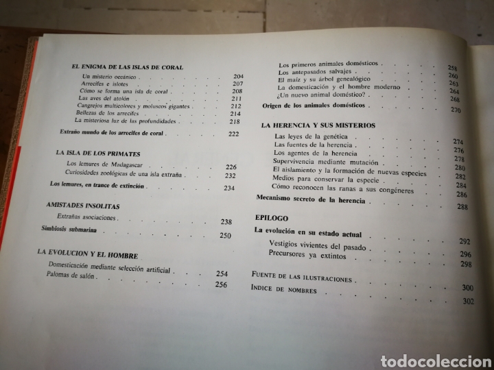 Libros de segunda mano: Las maravillas de la vida.Ed. Luis Miracle 1968 - Foto 6