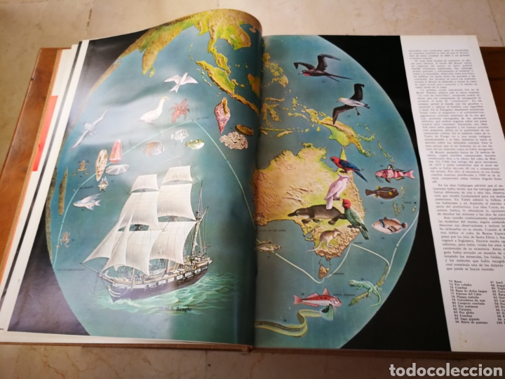 Libros de segunda mano: Las maravillas de la vida.Ed. Luis Miracle 1968 - Foto 7