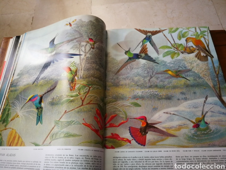 Libros de segunda mano: Las maravillas de la vida.Ed. Luis Miracle 1968 - Foto 8