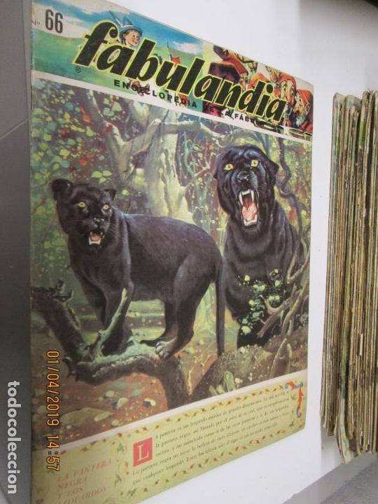 Libros de segunda mano: FABULANDIA - EDITORIAL CODEX 1963 N&ordm; 66 LA PANTERA NEGRA Y LOS LEOPARDOS - Foto 1