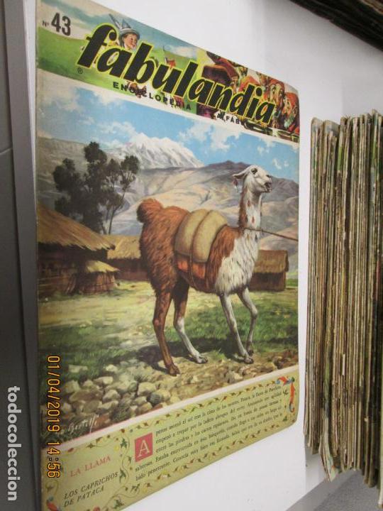 Libros de segunda mano: FABULANDIA - EDITORIAL CODEX 1963  N&ordm; 43 LA LLAMA , LOS CAPRICHOS DE PATACA - Foto 1