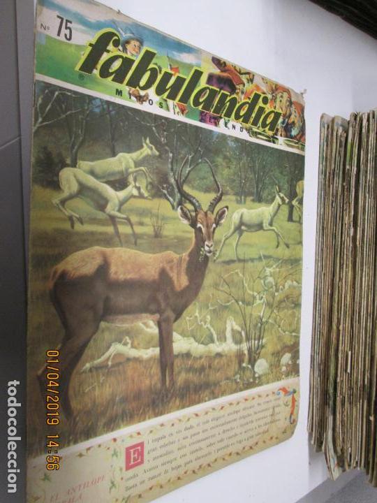 Libros de segunda mano: FABULANDIA - EDITORIAL CODEX 1963 N&ordm; 75 EL ANTILOPE IMPALA - Foto 1