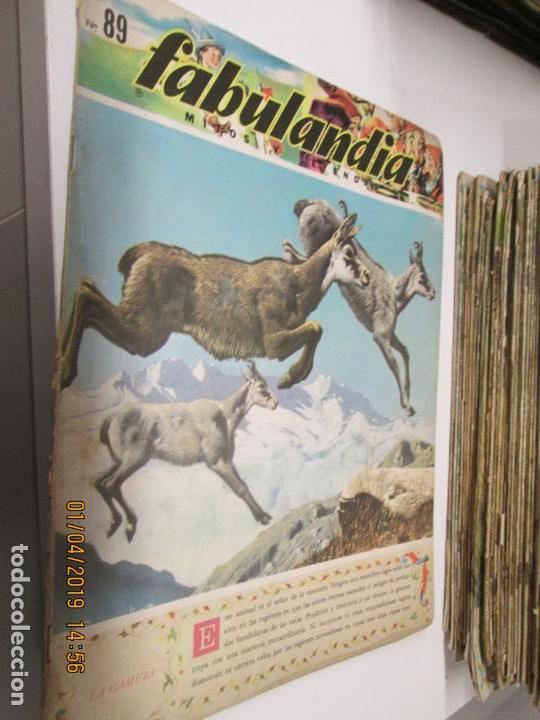 Libros de segunda mano: FABULANDIA - EDITORIAL CODEX 1963  N&ordm; 89 LA GAMUZA - Foto 1